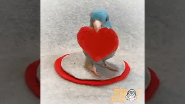 У меня есть пк и игры кто хочет может написать какую игру стримить или снимать про нее большие виде смотреть онлайн