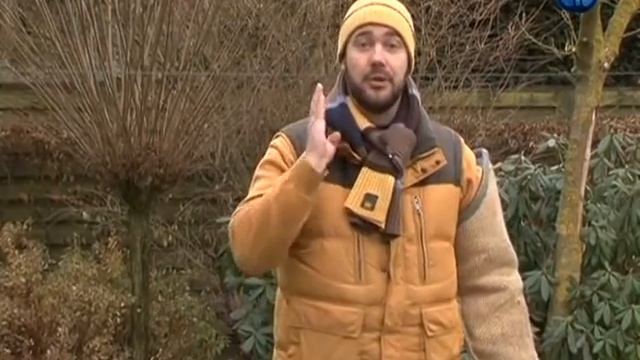 Планета собак Бельгия Фландрийский бувье смотреть онлайн