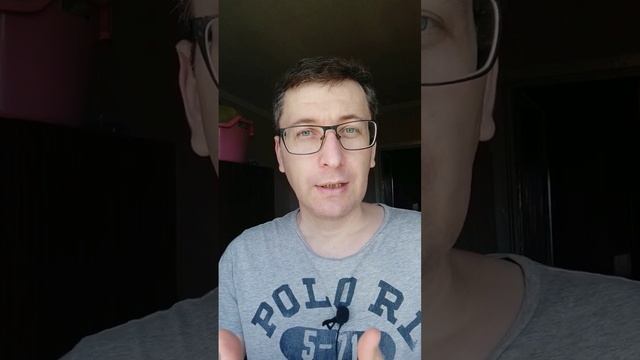 Чем обработать кошку от паразитов? Чем заменить мильбемакс и стронгхолд?