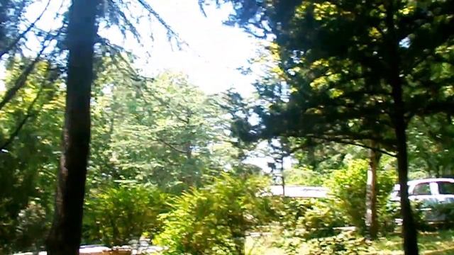 Пение цикад. Так встретил нас санаторий "Аврора" в Аше. Лазаревское, июль 2013 смотреть онлайн