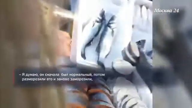 Товароведческая экспертиза рыбных товаров