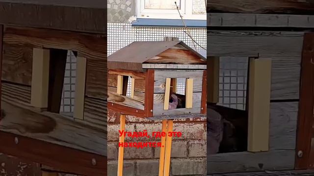 г.Омск.Ремонт баянов, аккордеонов, гармоней.Олег.т.+7913-651-2028. смотреть онлайн