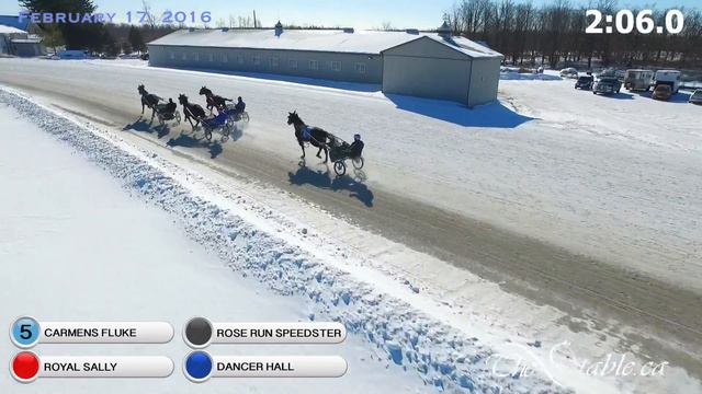 Royal Sally, Dancer Hall, Carmen's Fluke, Rose Run Speedster - Drone - Feb. 17, 2016 смотреть онлайн