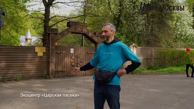 Прогулки по Измайлово. Маршрут Алексея Савватеева смотреть онлайн