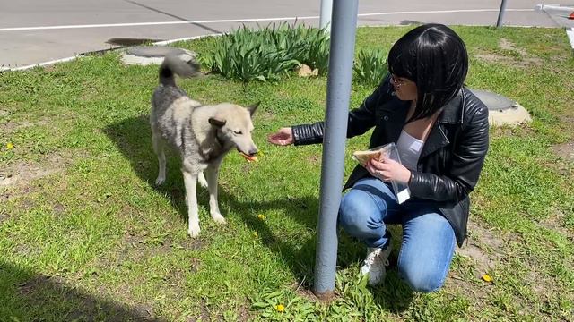 "К тебе" Ирина Сафронова смотреть онлайн