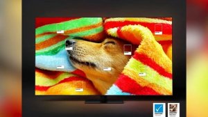 Телевизор Samsung QE75QN900C (QE75QN900CUXRU)
