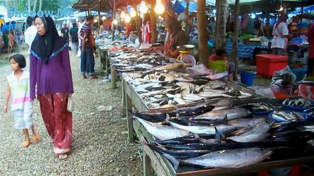 Рыбалка в Таиланде - невероятное зрелище смотреть онлайн