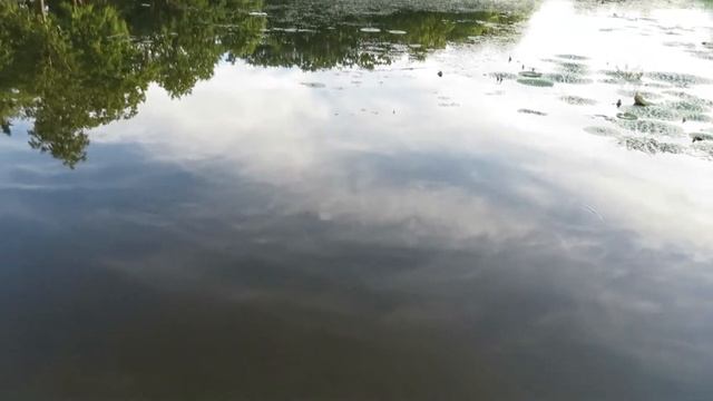 Лучегорск , чистые пруды смотреть онлайн