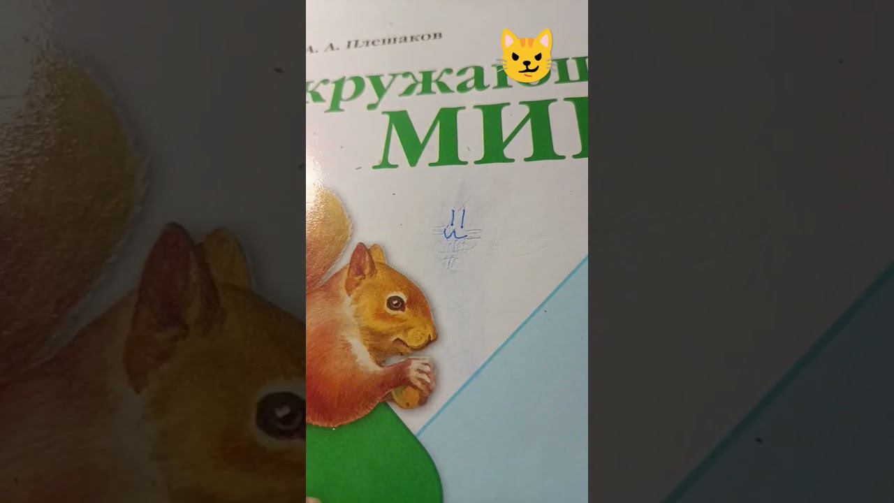 если меня посмотрят потпишики скрэтча то пожалуйста аметци его смотреть онлайн