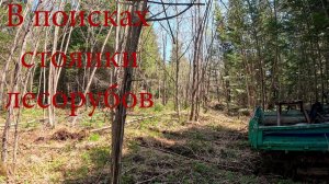 В поисках стоянки лесорубов. Коп метала. XP ORX