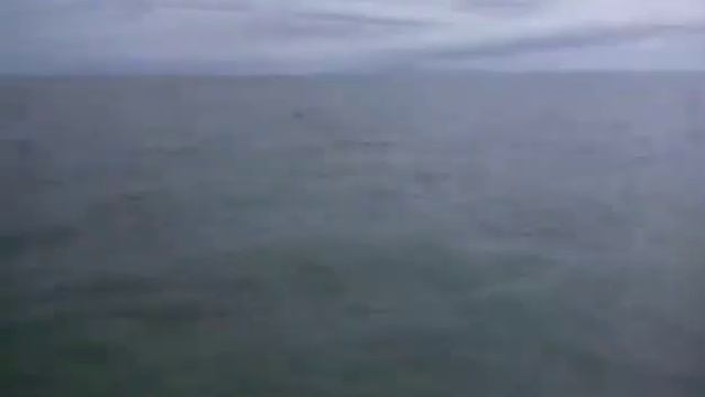 Каспийские байды каспийское море каспийские бракаши КАСПИЙ БАЙДЫ смотреть онлайн