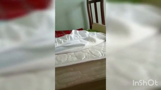 Видеообзор на матрас Vitaflex Light Hard Eco смотреть онлайн