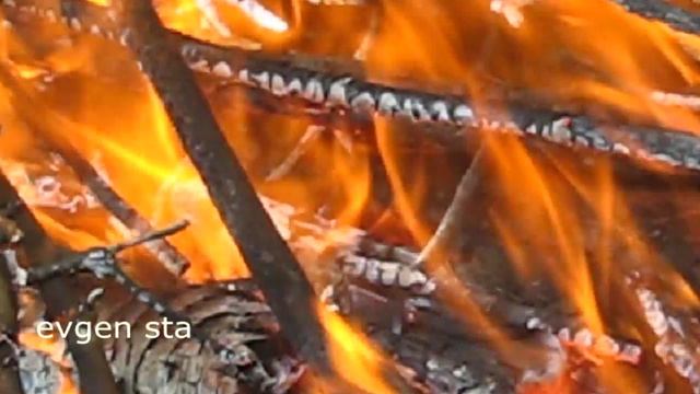 Медитация под музыку Баха Toccata in D minor by Bach смотреть онлайн