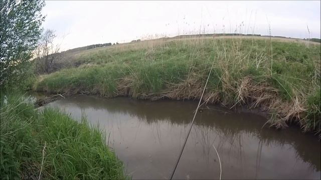 МОРМЫШИНГ КАРАСЬ ПОЛЕВОЙ МИКРОРЕЧКИ смотреть онлайн