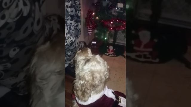 Mrs Hudson part two смотреть онлайн