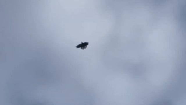 С рождеством! смотреть онлайн