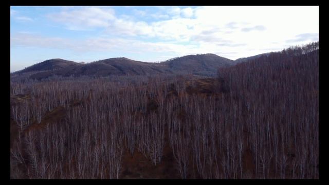о. У с к у л ь смотреть онлайн