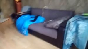 сиренаголовый ужастик 2 сирия