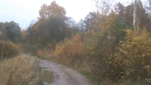 газ 53 ГАЗон тащит дрова с леса домой gas 53 Подписывайтесь на канал смотреть онлайн