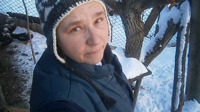 Обзор домашней птицы. Отбираем уток на племя. смотреть онлайн