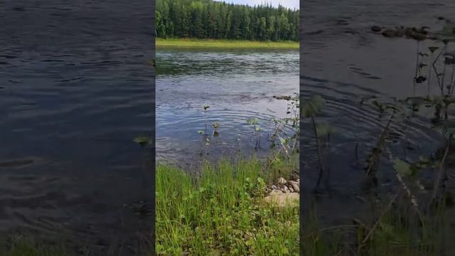 Таймень на ультралайт смотреть онлайн