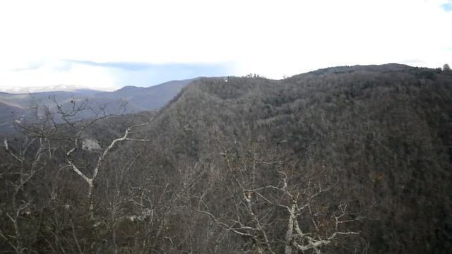 Путешествие по Абхазии (оз. Рица, крепость Анакопия, бамбуковая роща, пещера  Абрскил)