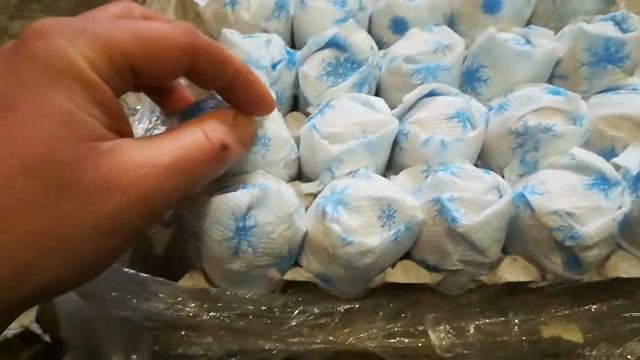 Посылка, распаковка инкубационного яйца орпингтон палевый. смотреть онлайн