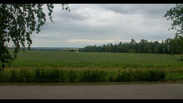 Прохоровка (Белгородская область) 08/2020 смотреть онлайн