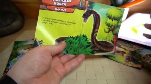 АНТИСТРЕСС ОПАСНЫЕ ЗМЕИ пакетики НЕ ДеАгостини а Ашет