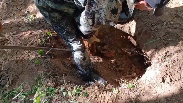 Лето, жара, а мы находим!! хорошие находки ? смотреть онлайн