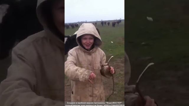 Как надо любить) смотреть онлайн