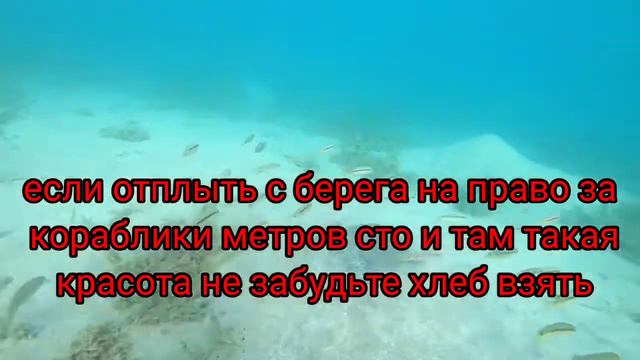 Египет Хургада Гранд Резорт Хургада море пляж риф 2022 Egypt Grand Palace BeachGrand ResortHurghad смотреть онлайн