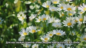 «Возможность помочь». 1 июня. День за днем в Ал-анон. Ежедневник для созависимых