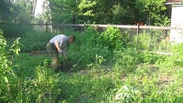 дача 182 смотреть онлайн