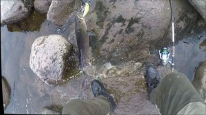 Олёкма  Тас-меле 2022