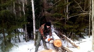 ОБЗОР И ТЕСТ ЦЕПЕЙ БЕНЗОПИЛЫ STIHL MS-180