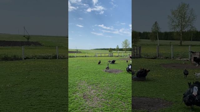 А у вас есть такой угол с вещами «пригодится» ?