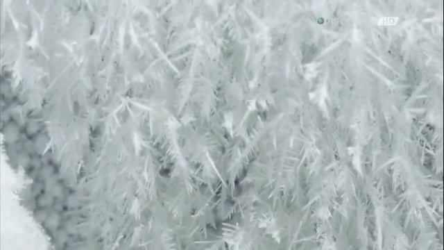 Лев Ландау. Научные труды и вклад в физику смотреть онлайн