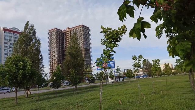 Цветут розовые и белые каштаны в Ростове/ Розовые каштаны в Левенцовке смотреть онлайн