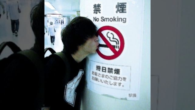 AMNEVSEMALO смотреть онлайн