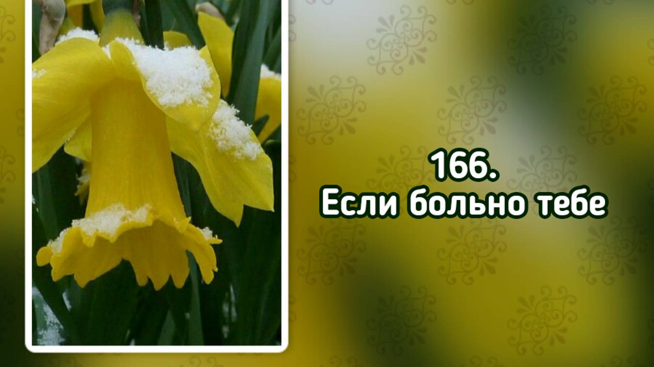 Гимны надежды 166 Если больно тебе (-) смотреть онлайн