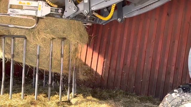 Молчаливые Катумские овцы. смотреть онлайн