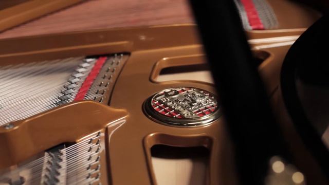 Petrof 597348 смотреть онлайн