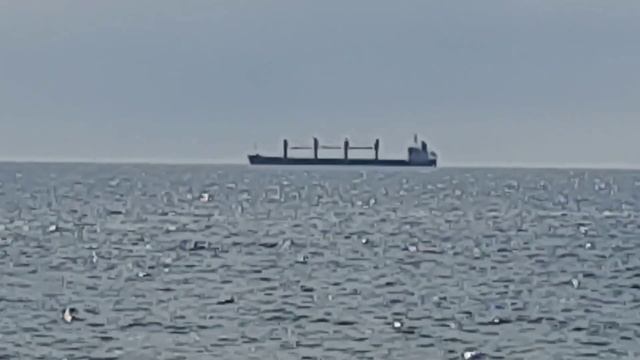 Одесса 5 минут назад. УГРОЗА УДАРА КАЛИБРАМИ! СКОЛЬКО РАКЕТНЫХ И ДЕСАНТНЫХ КОРАБЛЕЙ В ЧЁРНОМ МОРЕ! смотреть онлайн