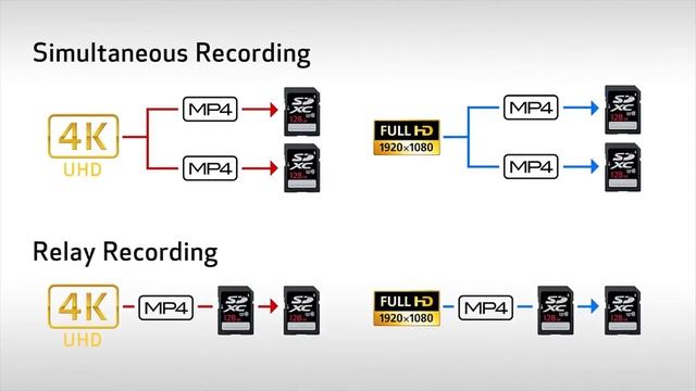 Canon XF405 and XF400 Camcorders Introduction | Full Compass смотреть онлайн