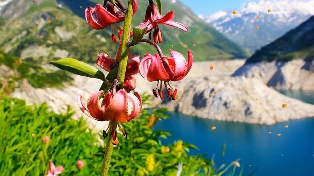 Расслабляющая музыка для сна + мягкие звуки дождя - исцеляющая музыка, красивая фортепианная музыка смотреть онлайн