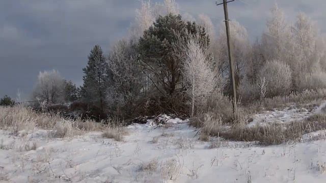 Классическое тропление зайца-русака смотреть онлайн