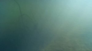 Выпуск 6. Рыбалка в Сызрани.