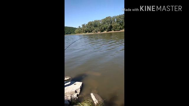 Рибалка на Дністрі.Сом. смотреть онлайн