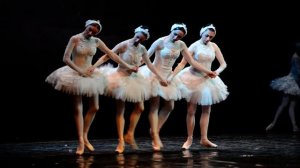 Танец маленьких лебедей